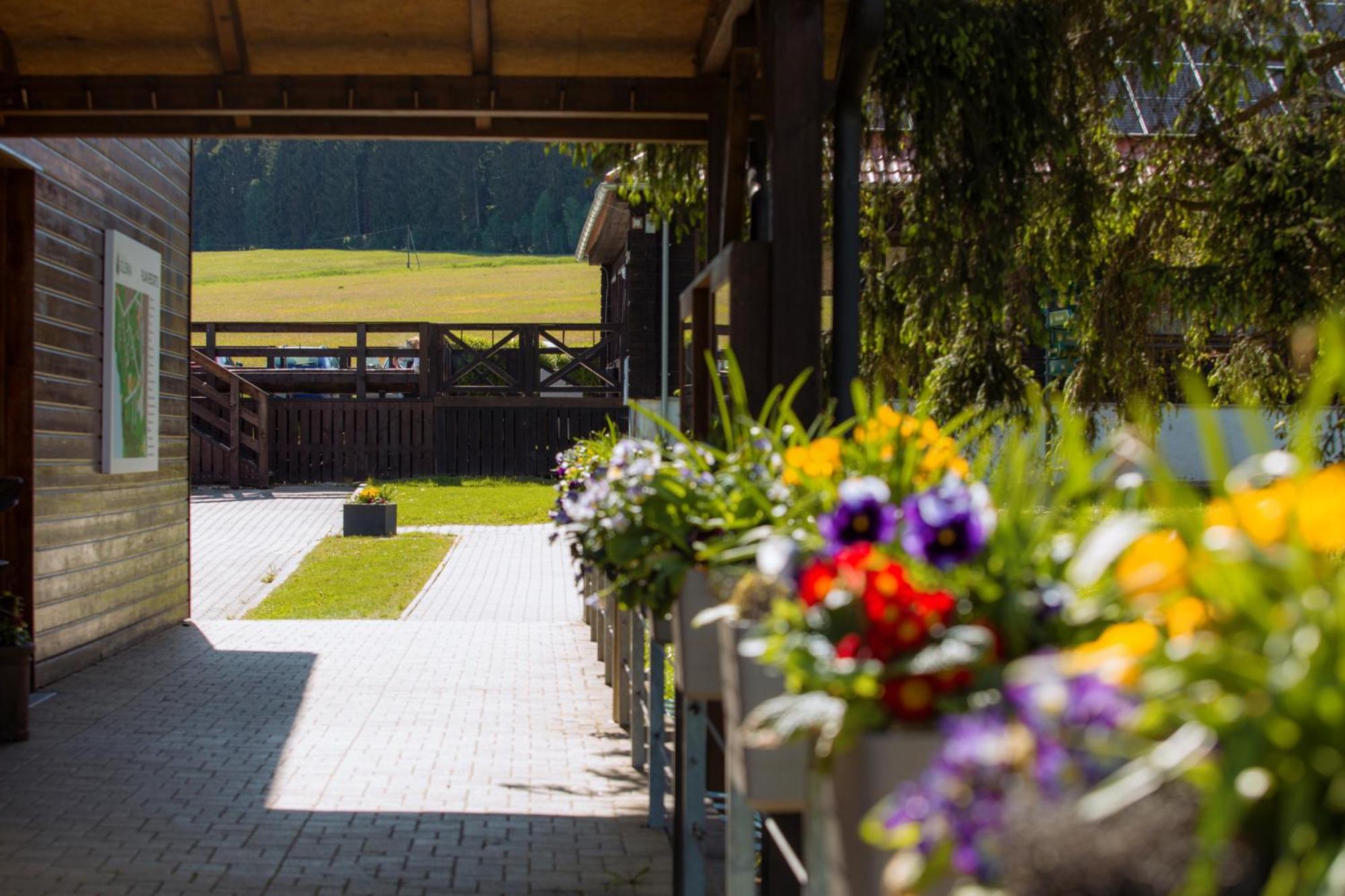 Resort Olšina Horní Planá Exterior foto